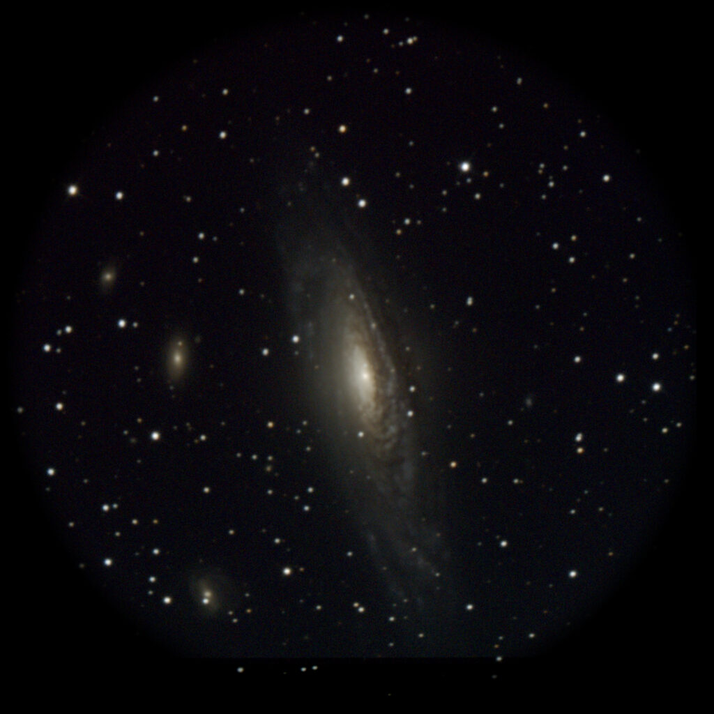 NGC7331