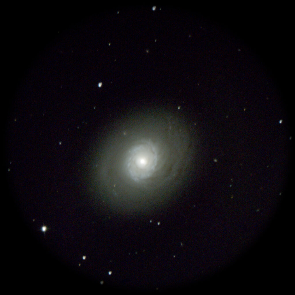 M94